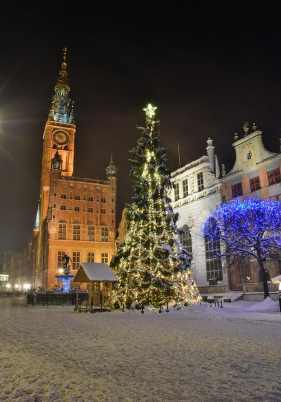 Old Town Apartment Angielska Grobla Gdańsk Eksteriør billede